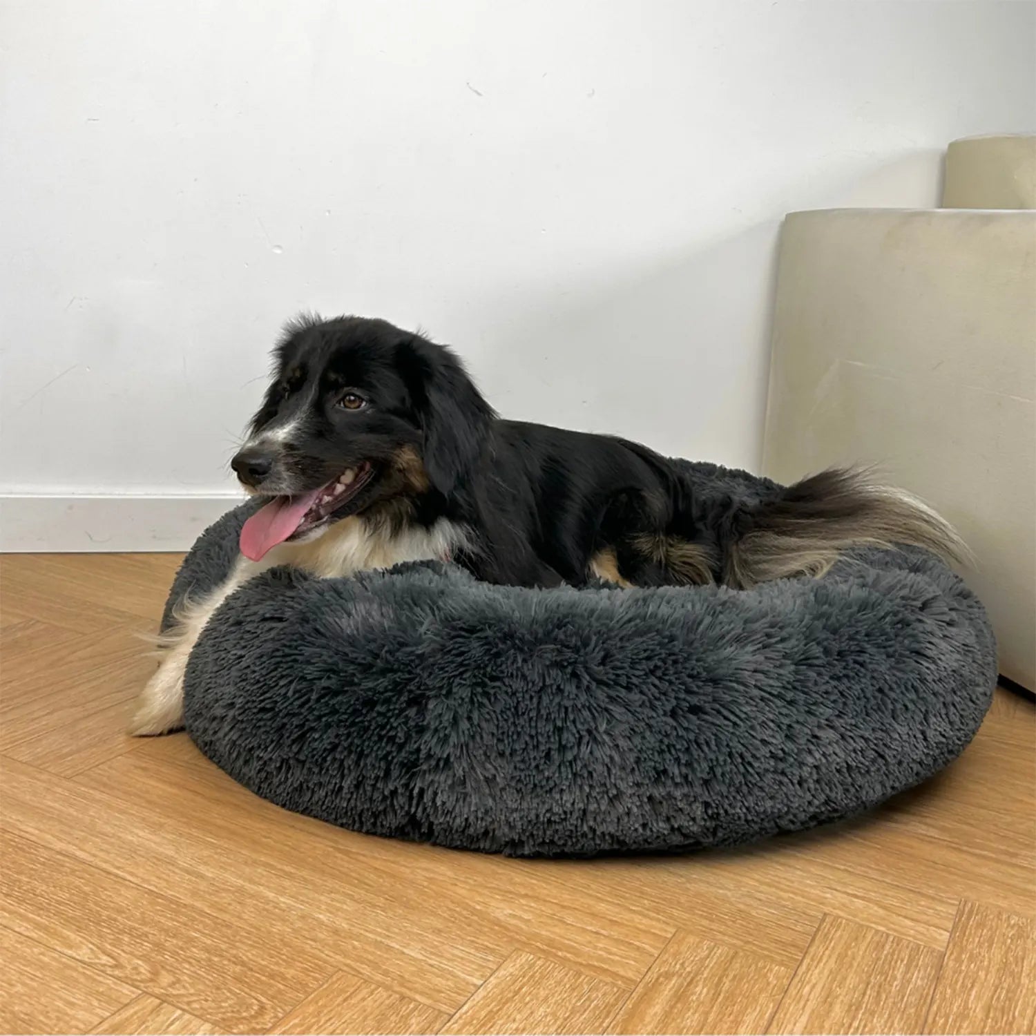 Hundebetten