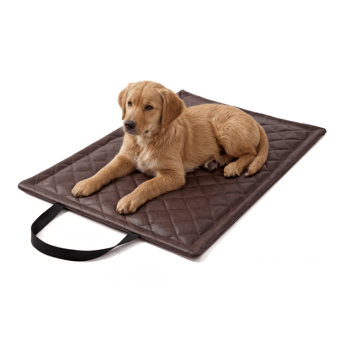 Diamond Reisematte für Hund & Katze – wasserdicht, abwischbar (M/XL)