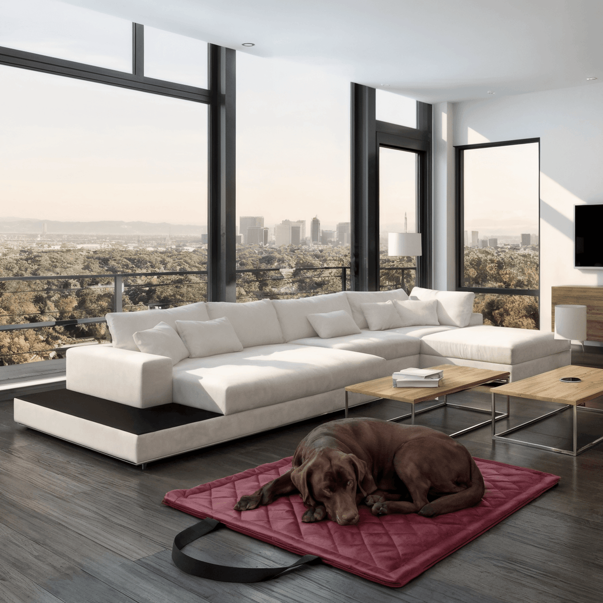 Diamond Reisematte für Hund & Katze – wasserdicht, abwischbar (M/XL)