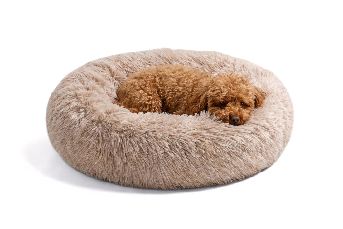 Lit pour chien Sweet Donut