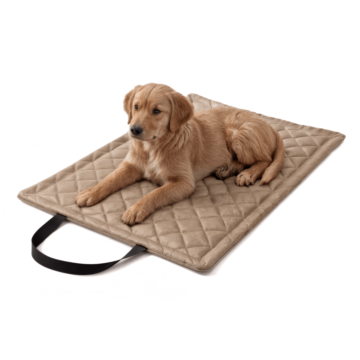 Diamond Reisematte für Hund &amp; Katze – wasserdicht, abwischbar (M/XL)