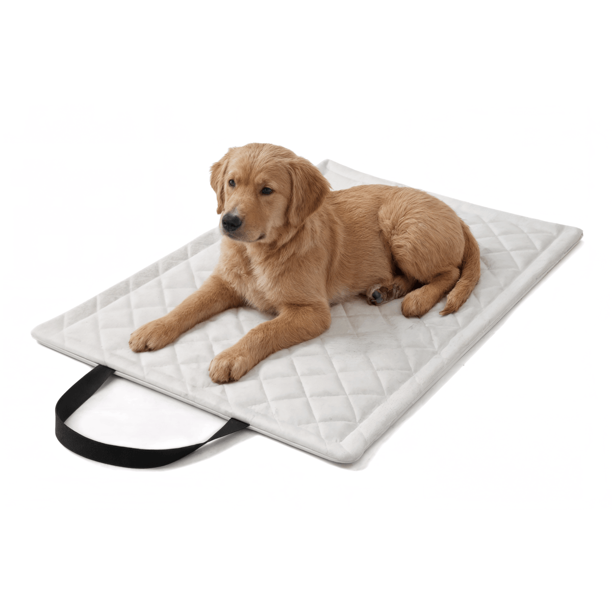 Diamond Reisematte für Hund &amp; Katze – wasserdicht, abwischbar (M/XL)