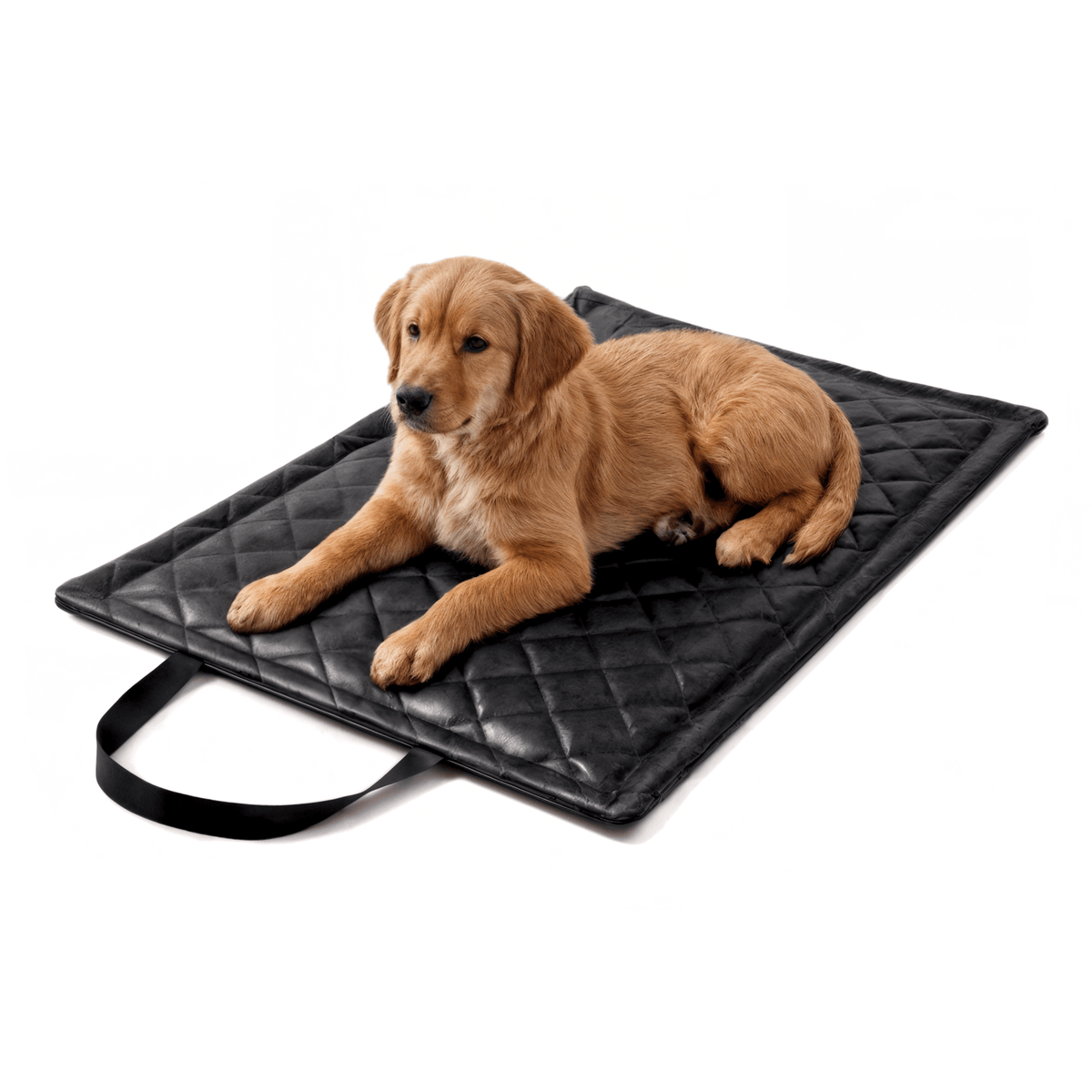 Diamond Reisematte für Hund &amp; Katze – wasserdicht, abwischbar (M/XL)
