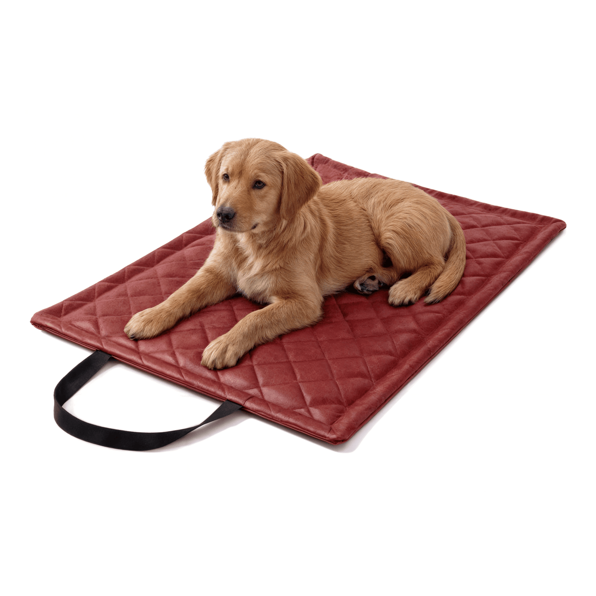 Diamond Reisematte für Hund &amp; Katze – wasserdicht, abwischbar (M/XL)