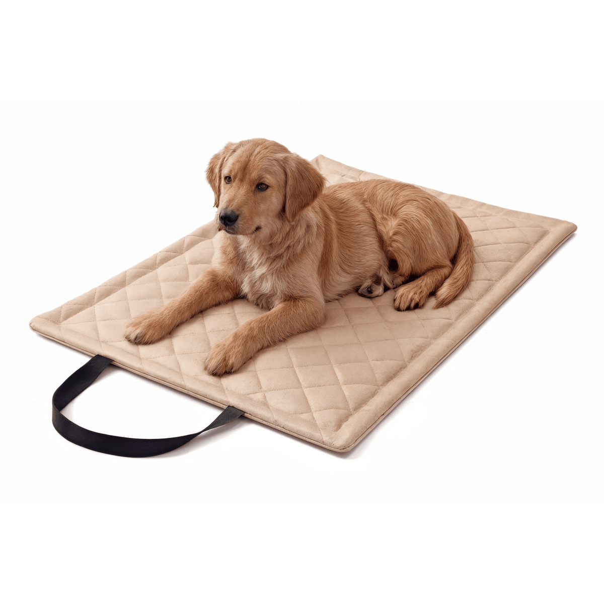 Diamond Reisematte für Hund &amp; Katze – wasserdicht, abwischbar (M/XL)