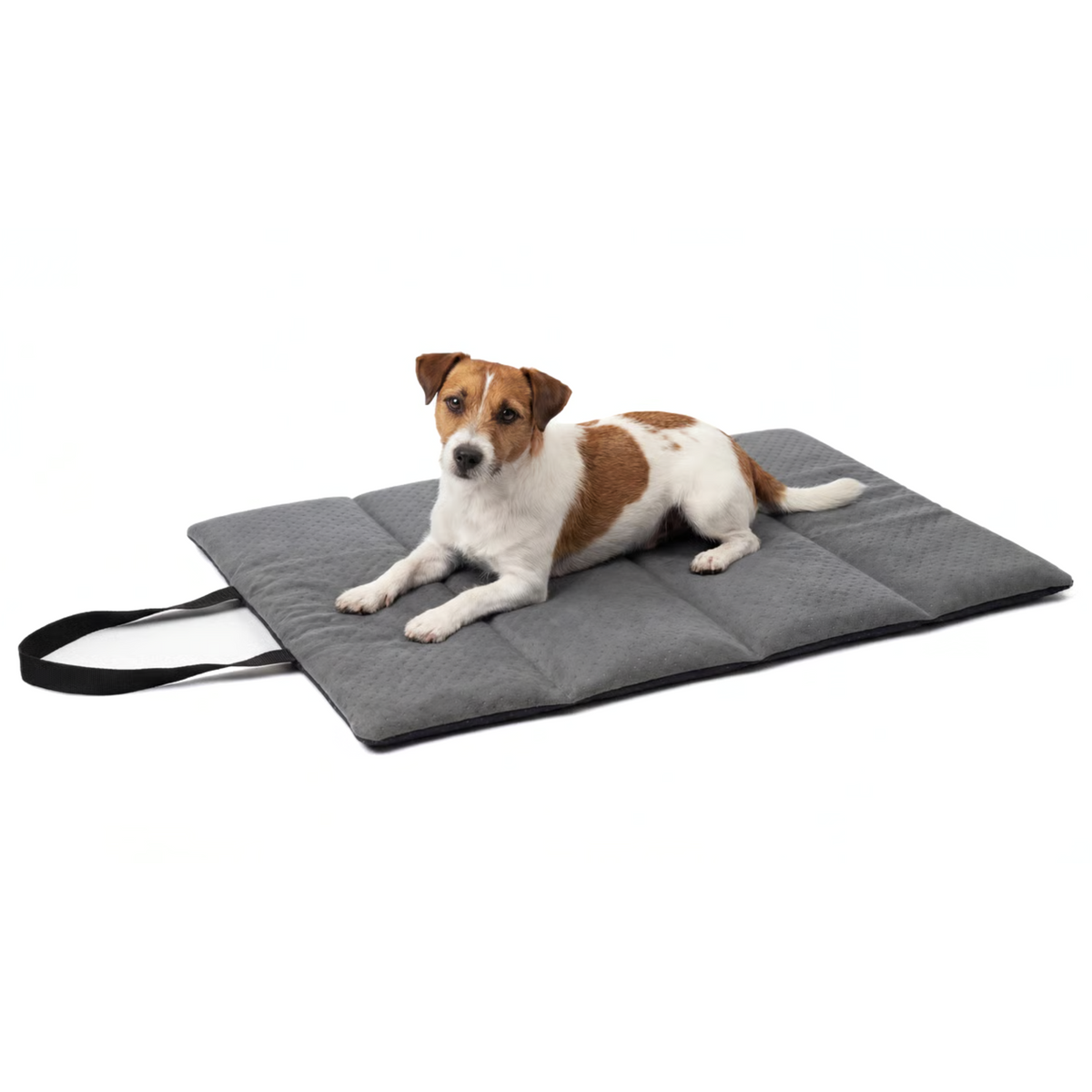 TravelNest™ Reisebett für Hund &amp; Katze – wasserdicht, rollbar (M/XL)
