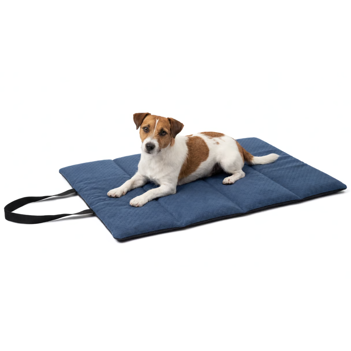 TravelNest™ Reisebett für Hund &amp; Katze – wasserdicht, rollbar (M/XL)