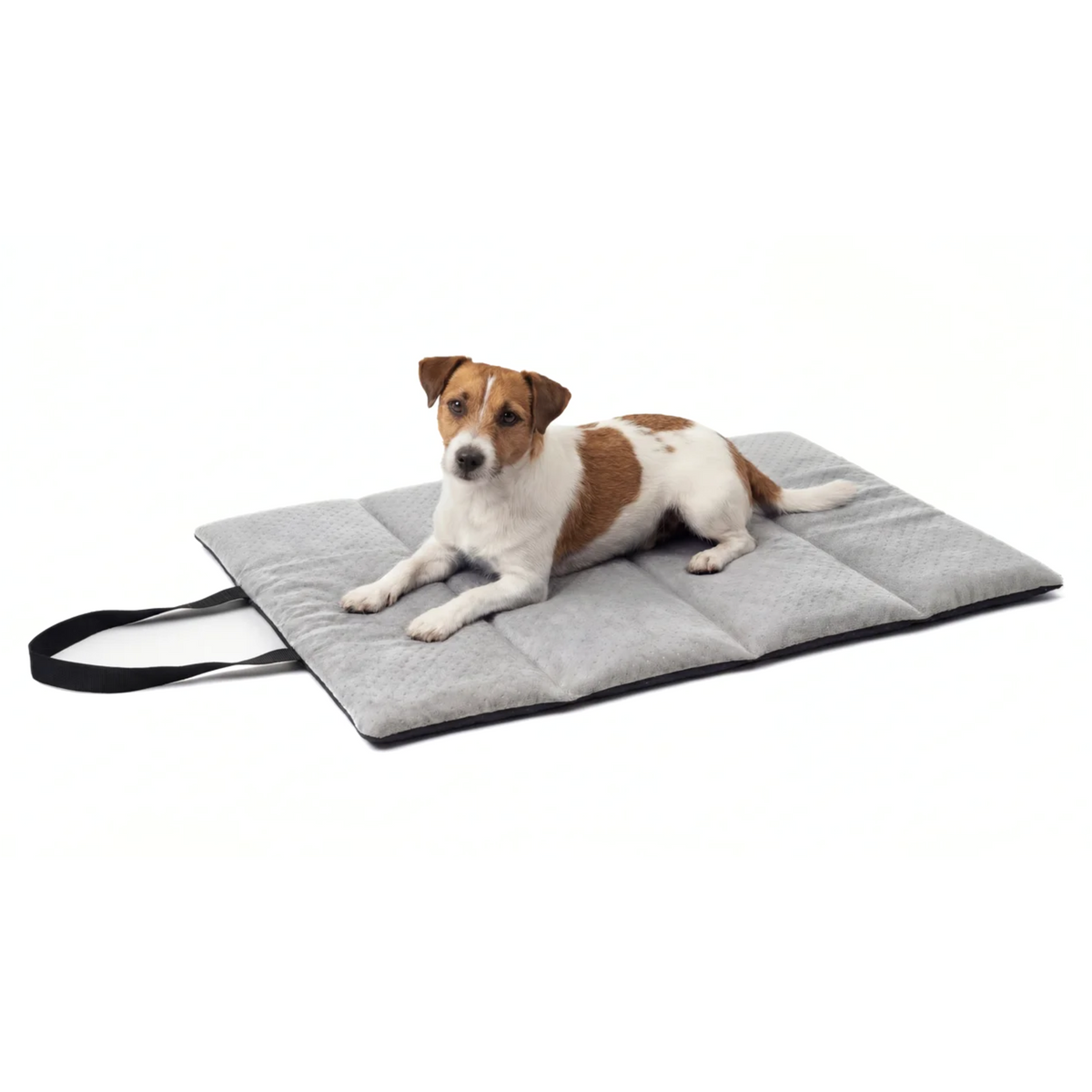 TravelNest™ Reisebett für Hund &amp; Katze – wasserdicht, rollbar (M/XL)