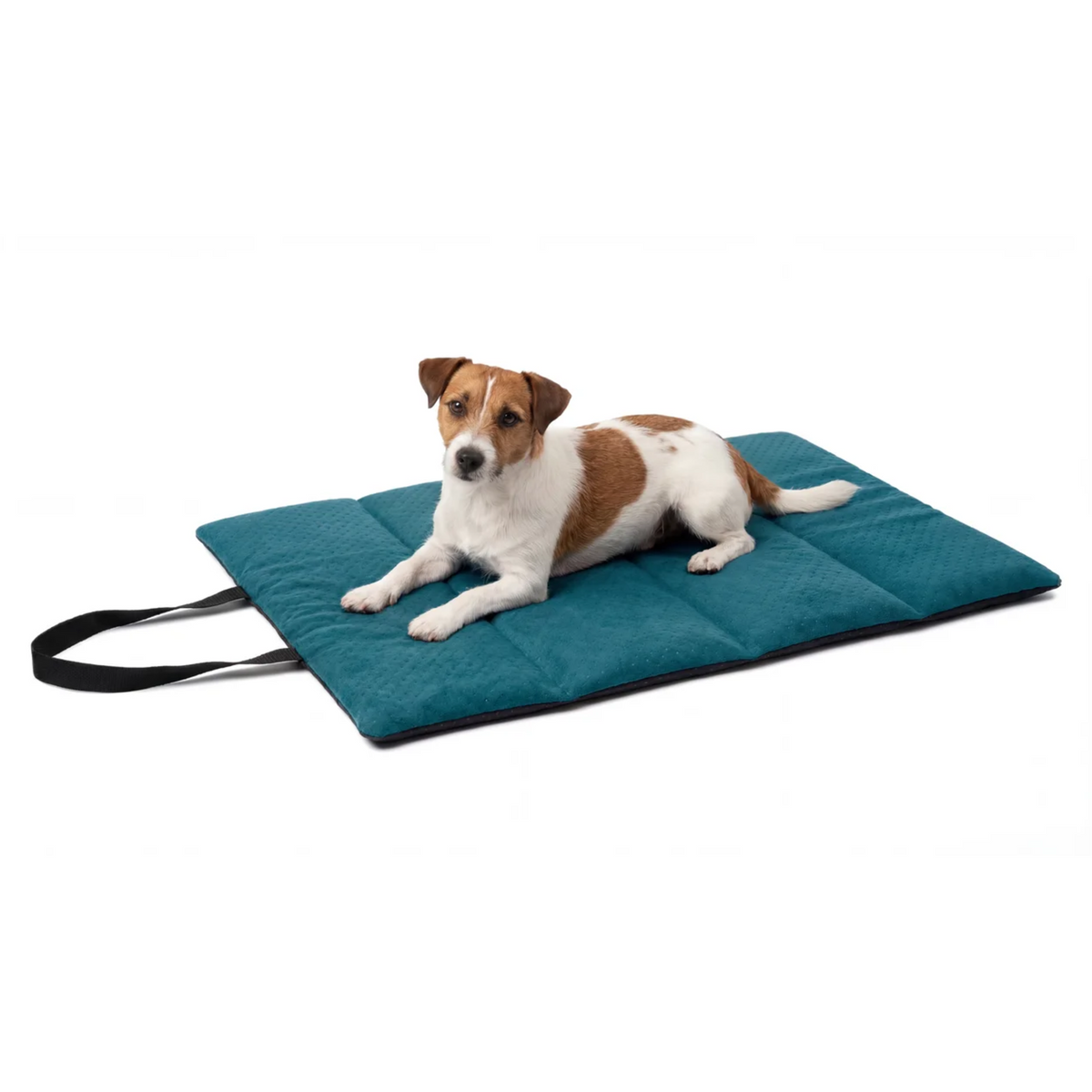 TravelNest™ Reisebett für Hund &amp; Katze – wasserdicht, rollbar (M/XL)